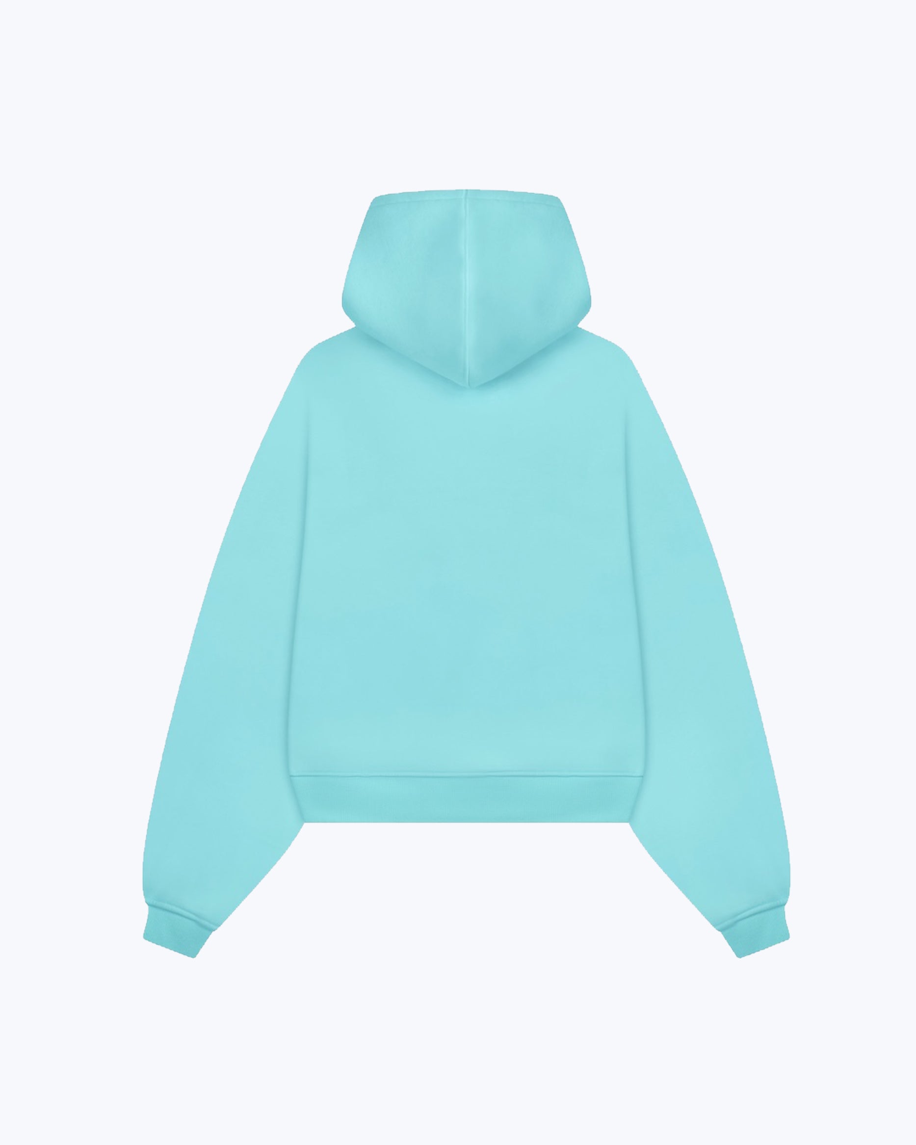 dopebeyond aqua blue heavyweight streetwear hoodie back view on white background